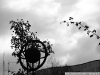 DSC08319