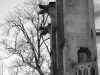 _DSC8449_1