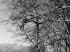 _DSC8455