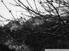 DSC08471