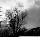 dsc08464a