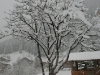 dsc08479_1