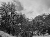 DSC08484