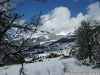 DSC08486