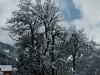 dsc08483_1