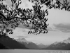 DSC08505