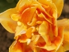 DSC08899