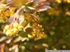 DSC08930