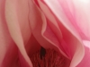 DSC08957