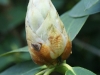 DSC08961