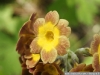 DSC08969
