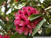DSC08990