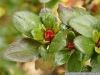 DSC09005