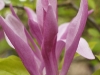 DSC09008
