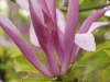 DSC09009