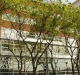 DSC09047_1