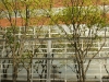 DSC09051