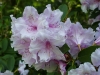 DSC09280