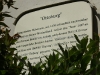 DSC09803