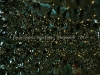 DSC00055