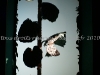 DSC00079