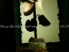 DSC00082