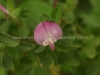DSC03289