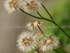 DSC03291