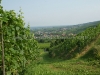 DSC03568