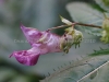 DSC03615