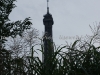 DSC03894