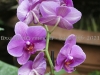 DSC05789