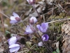DSC05143