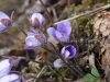 DSC05147