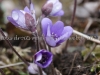 DSC05148