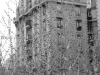DSC05347