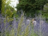 DSC05348_1