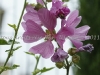 DSC05357