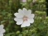DSC05360