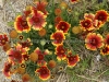DSC05379