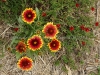 DSC05380