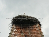 DSC06135_1