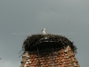 DSC06139_1