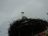 DSC06143_1