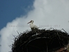 DSC06146_1