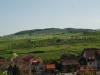 DSC06450