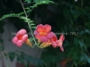 DSC06574