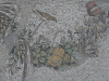 DSC06785_1