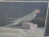 DSC06788_1