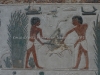 DSC06953